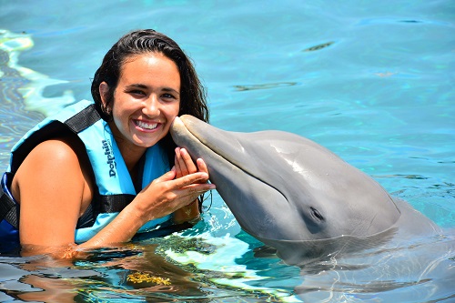Dolphin Swim Isla Mujeres