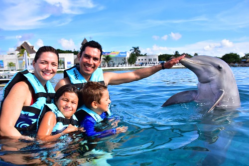 Dolphin Swim Cozumel