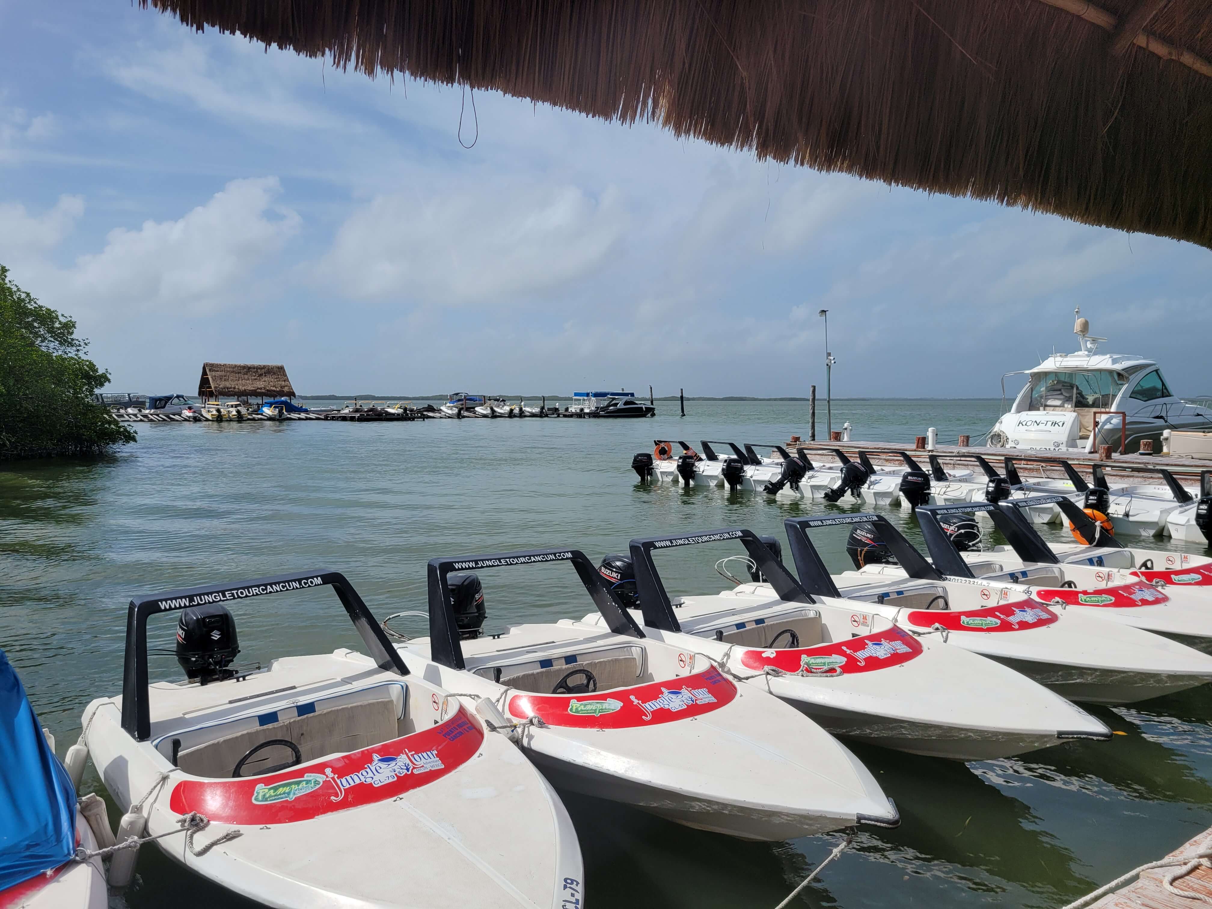 Jungle Tour Cancun