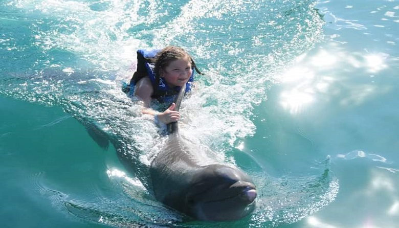 Delphinus Primax-Xel-Ha