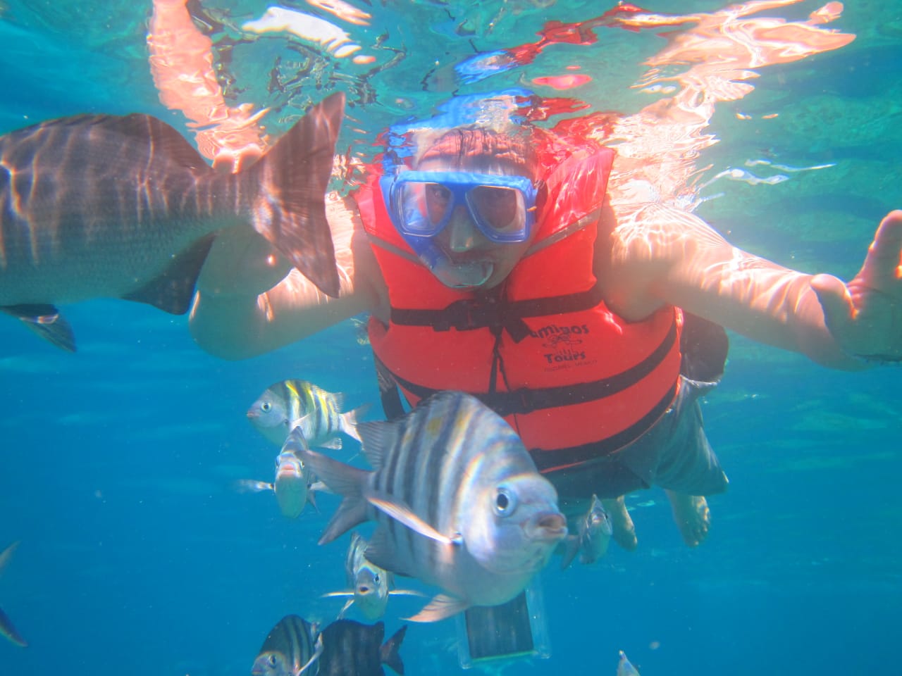 Jungle Tour Cancun