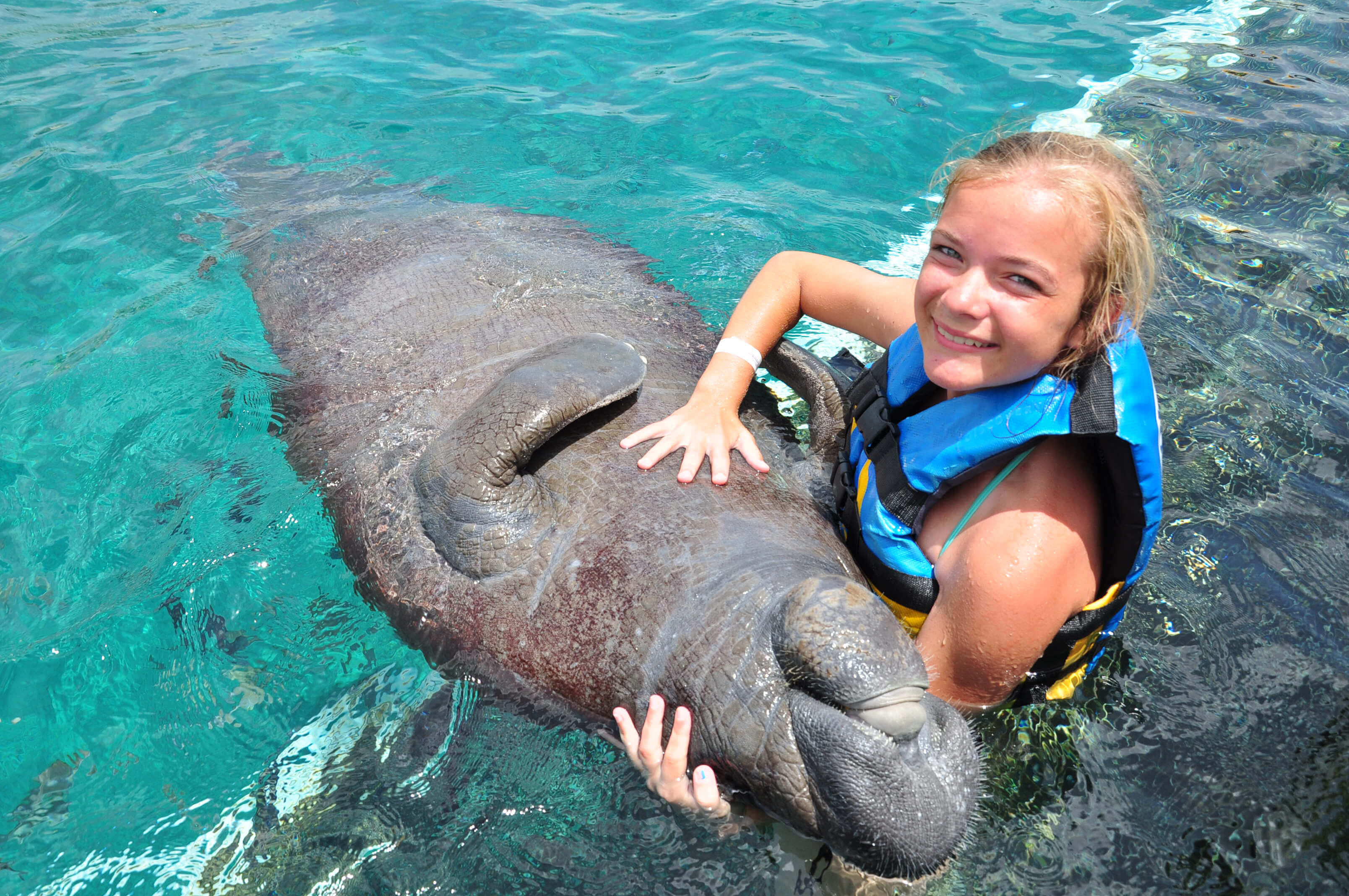 Manatee Encounter