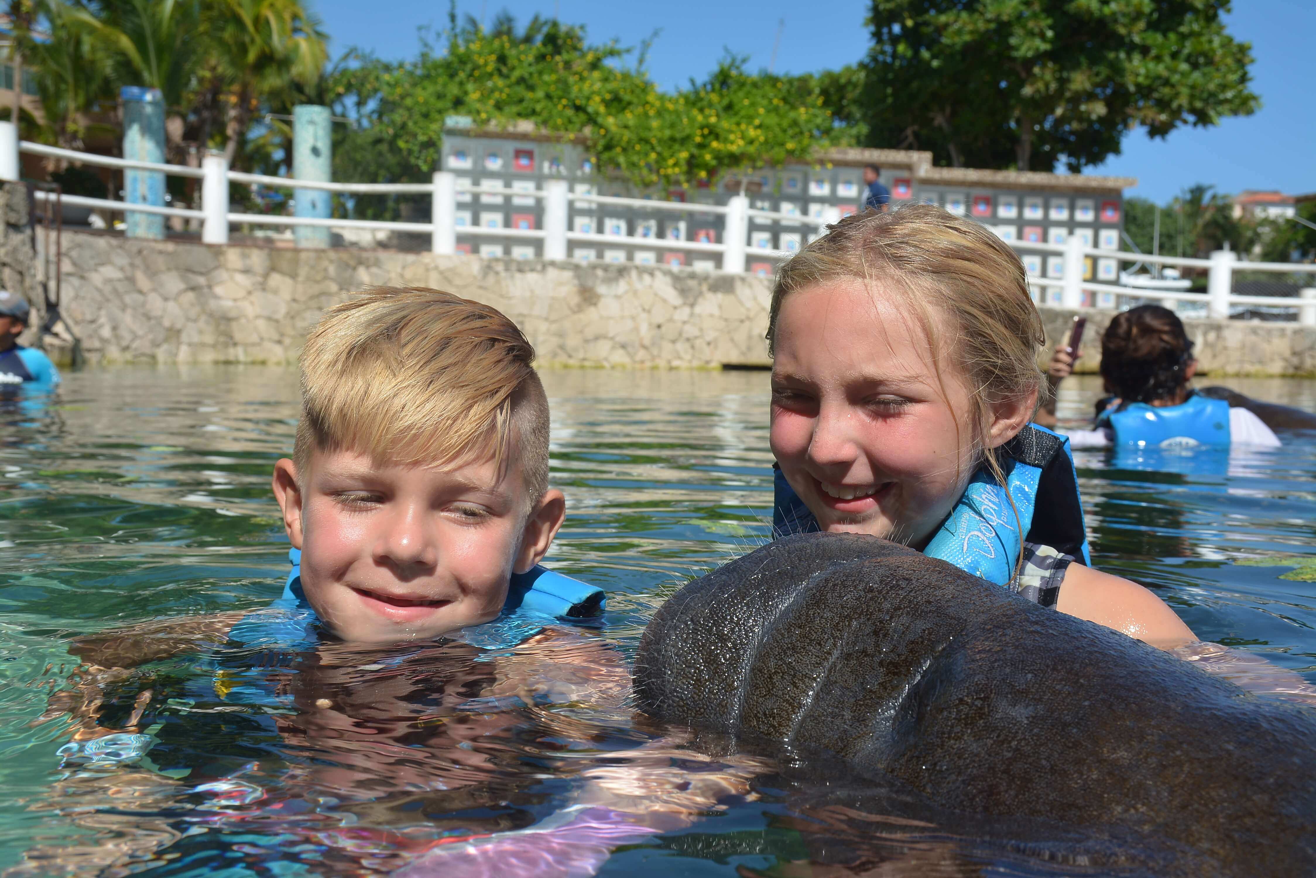 Manatee Encounter