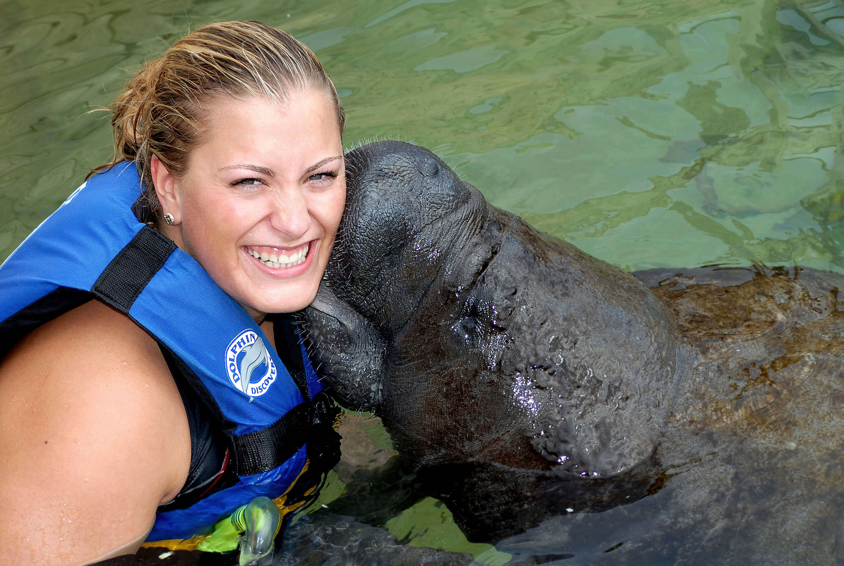 Manatee Encounter