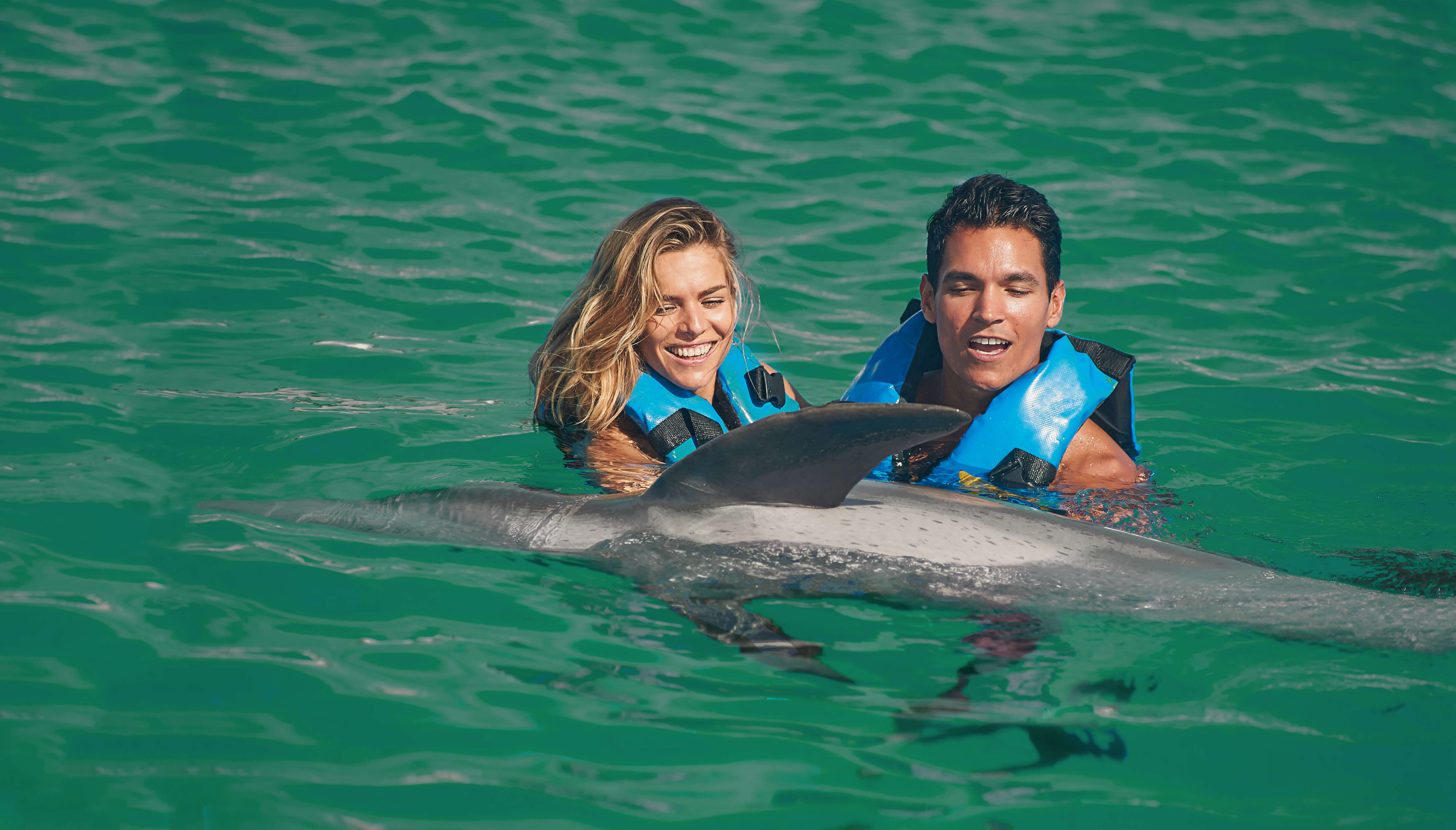 Dolphin Encounter Dreams Puerto Aventuras